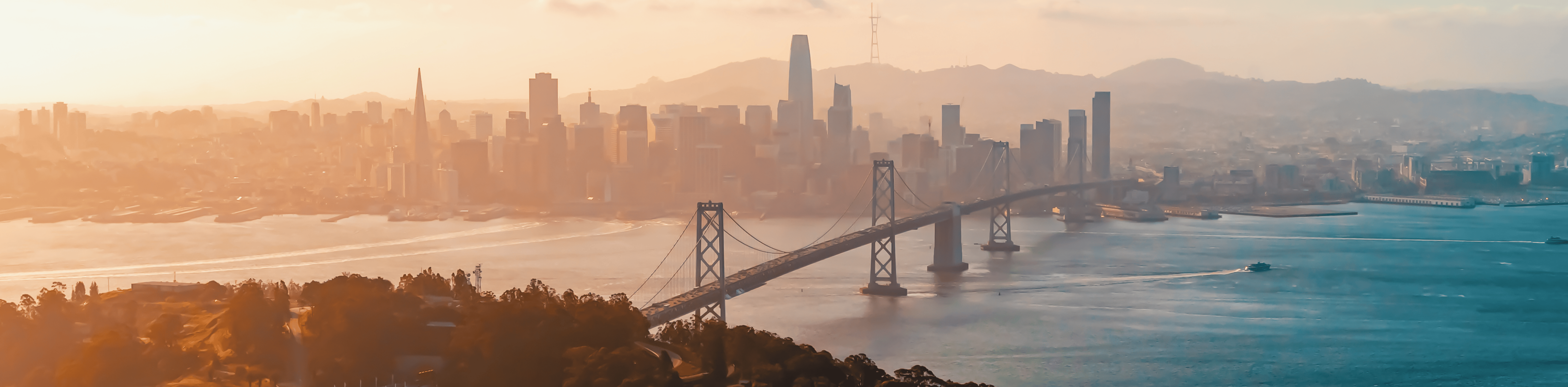 Supporting Business Development with Topia